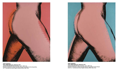 Andy Warhol: Velvet Rage and Beauty