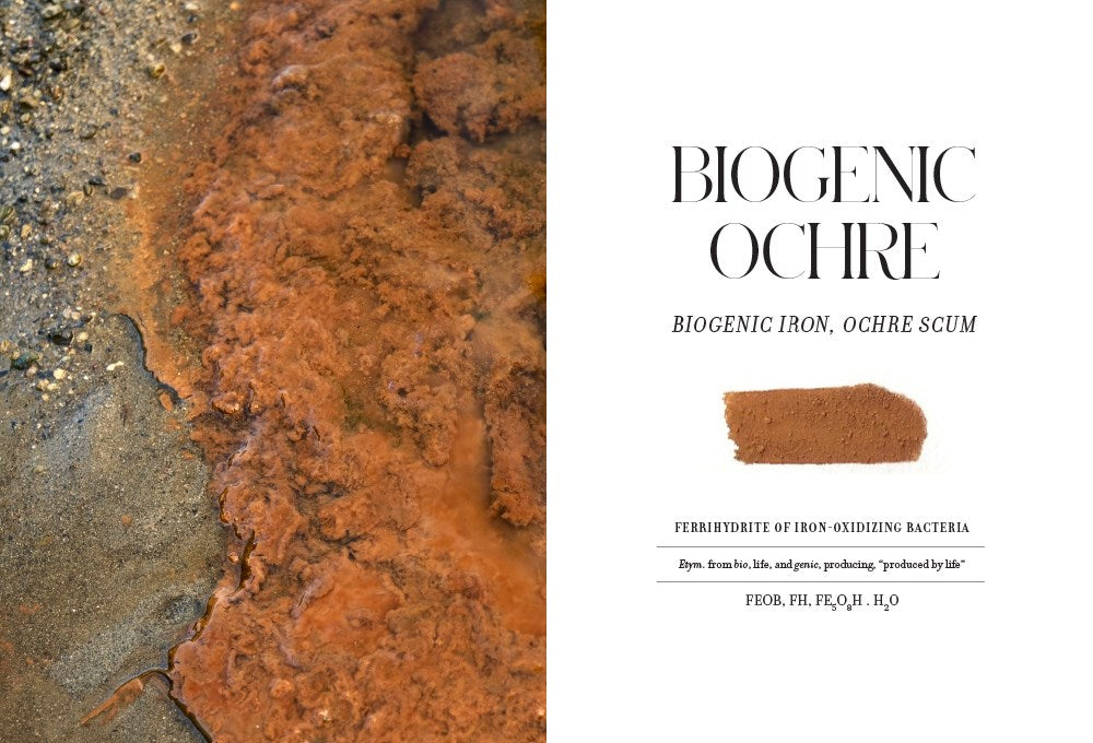 Book of Earth: A Guide to Ochre, Pigment, and Raw Color