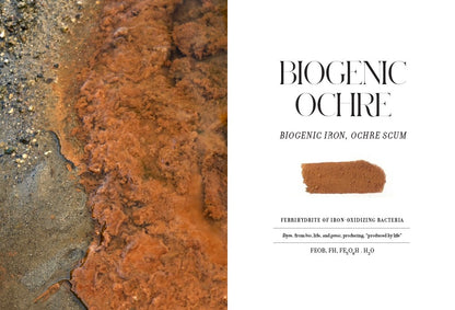 Book of Earth: A Guide to Ochre, Pigment, and Raw Color