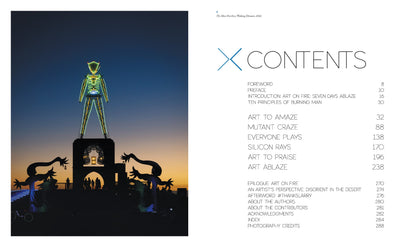 Burning Man: Art on Fire: Revised and Updated Edition