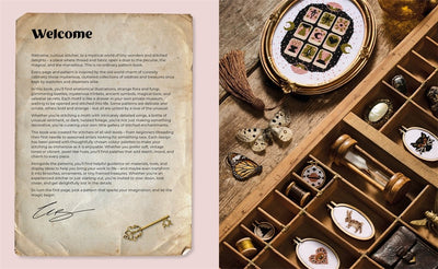 Cross Stitch Cabinet of Curiosities: 500 Magical Motifs and Peculiar Patterns