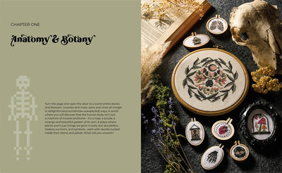 Cross Stitch Cabinet of Curiosities: 500 Magical Motifs and Peculiar Patterns