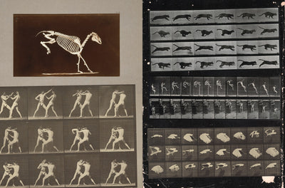 Cut-out Curiosities Space, Science & Technology: A Collage Book