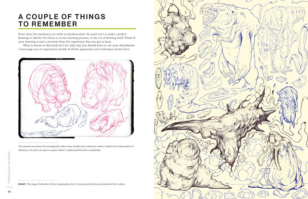 Drawing Basics and Beyond: Transform Observation Into Imagination