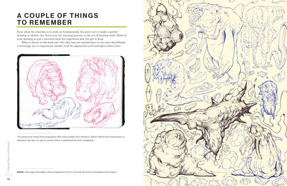 Drawing Basics and Beyond: Transform Observation Into Imagination