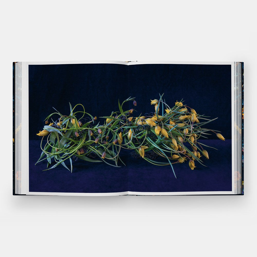 Emily Thompson Flowers