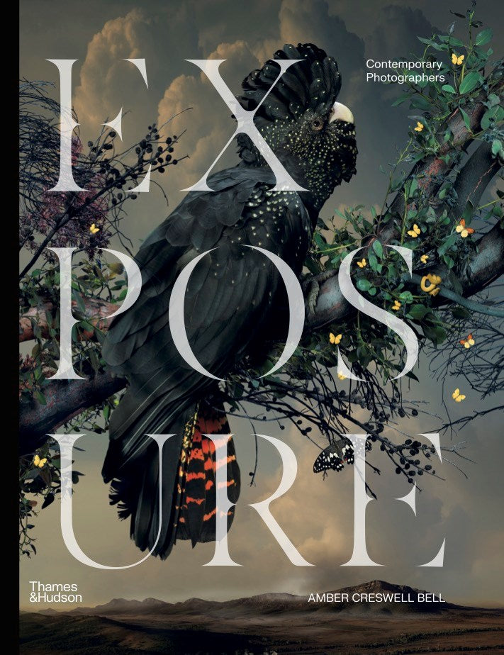 Exposure: Contemporary Photographers