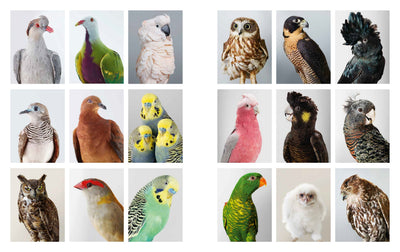 Exposure: Contemporary Photographers