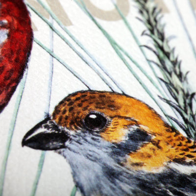 The Birds and Trees of North America Notebooks (3-Pack)