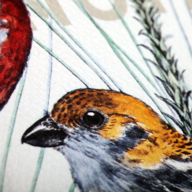 The Birds and Trees of North America Notebooks (3-Pack)