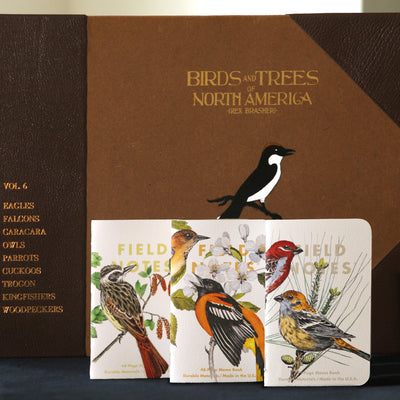 The Birds and Trees of North America Notebooks (3-Pack)