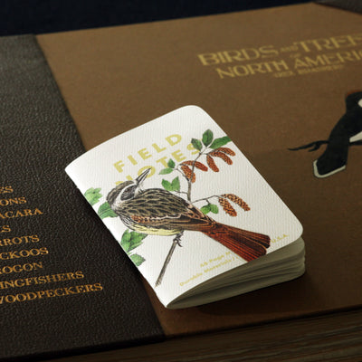 The Birds and Trees of North America Notebooks (3-Pack)