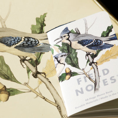 The Birds and Trees of North America Notebooks (3-Pack)