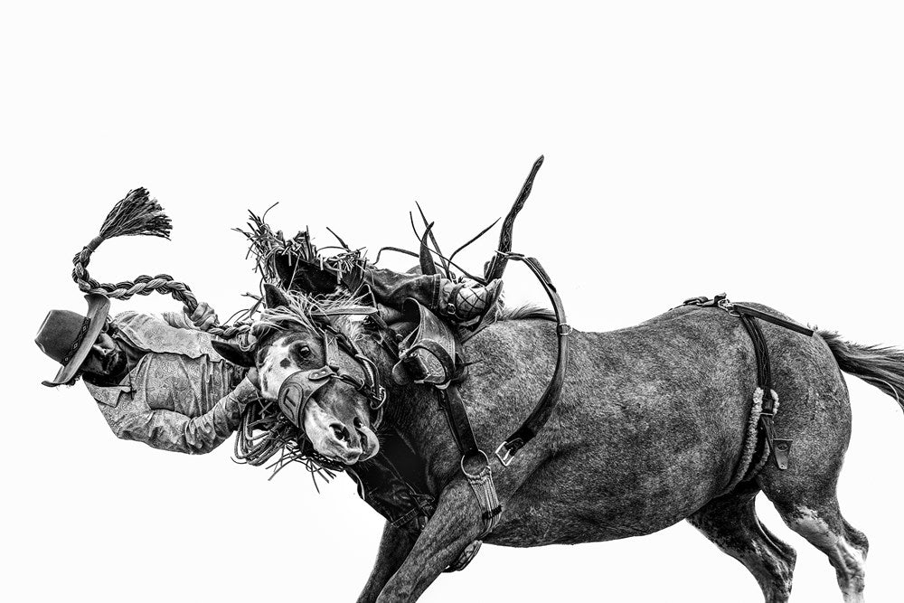 Frontier: Cowboys of the Americas