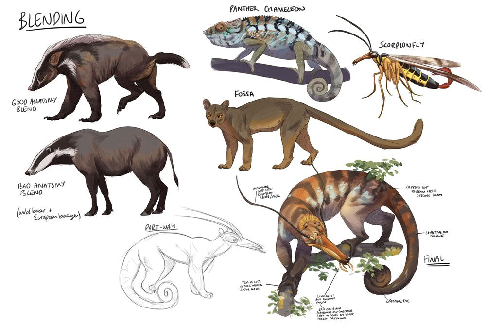 Fundamentals of Creature Design: How to Create Successful Concepts Using Functionality, Anatomy, Color, Shape & Scale