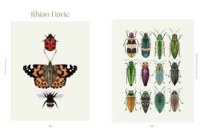 Insectile Inspiration: Insects in Art and Illustration