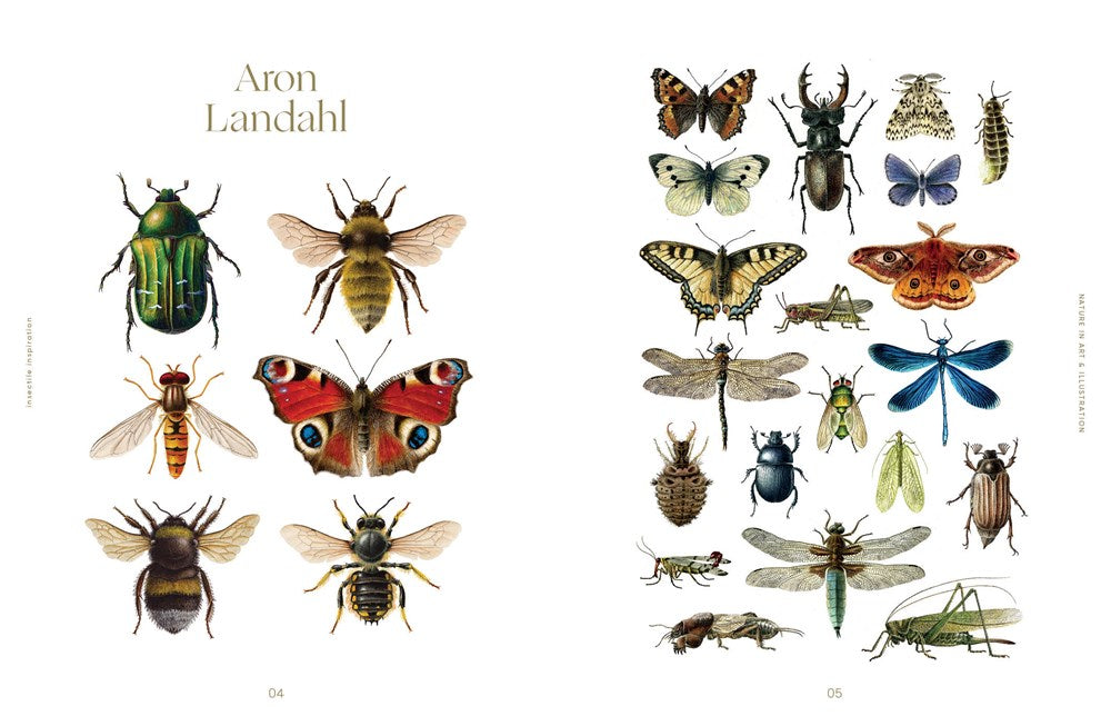 Insectile Inspiration: Insects in Art and Illustration