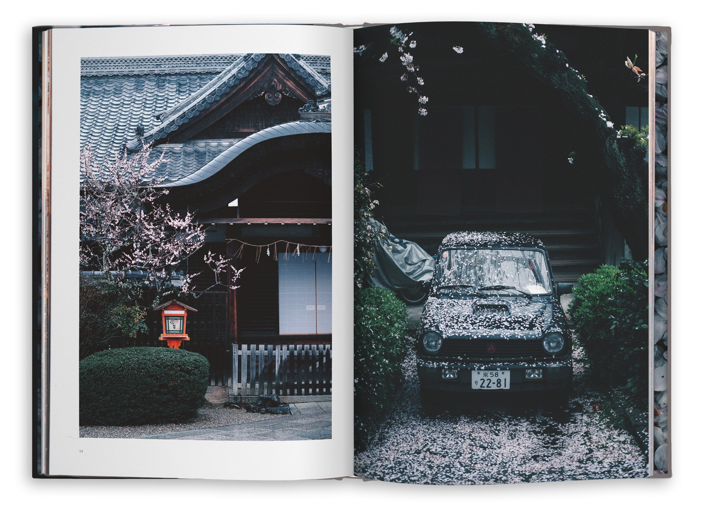 Kyoto Dreaming