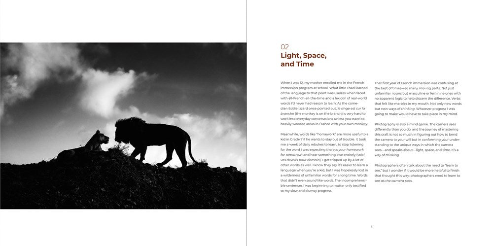 Light, Space, and Time: Essays on Camera Craft and Creativity