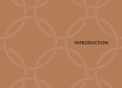 Little Book of Celine: The Story of the Iconic Fashion House