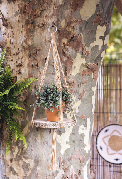 Macrame Plant Hangers, Shelves, and Baskets: 15 Unique Designs for Plant Displays