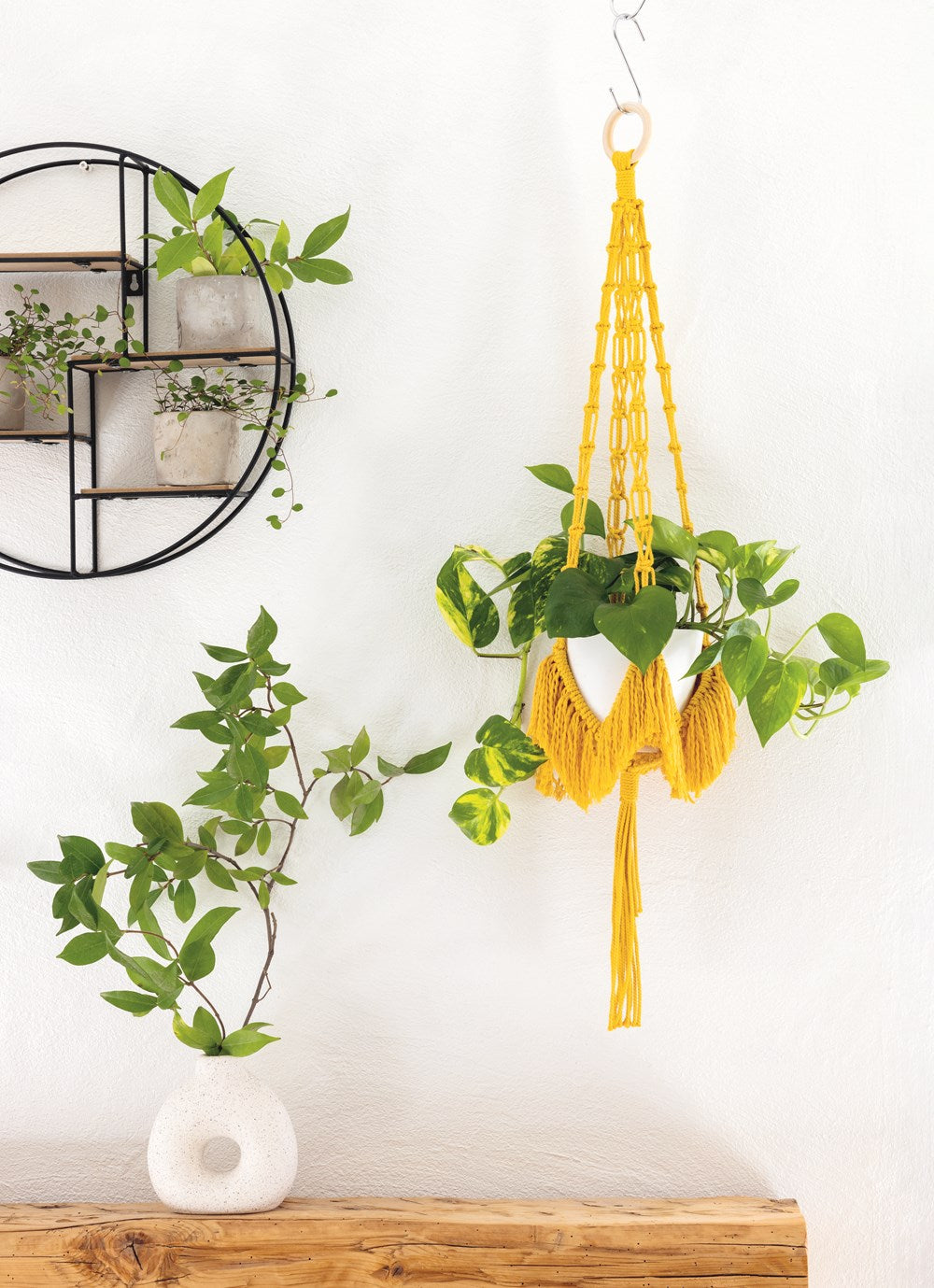 Macrame Plant Hangers, Shelves, and Baskets: 15 Unique Designs for Plant Displays