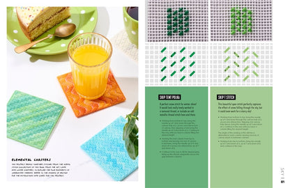 Next-Level Needlepoint: Over 100 Skill-Building Stitches and Techniques for Modern Tapestry Embroidery