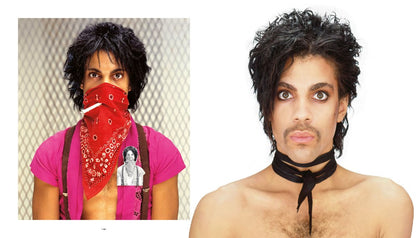 Prince: Icon