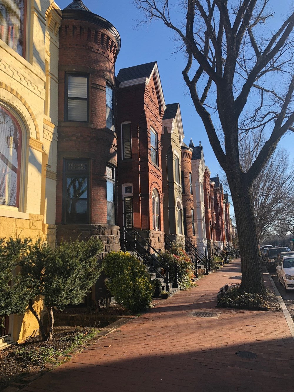 The Row House in Washington, DC: A History