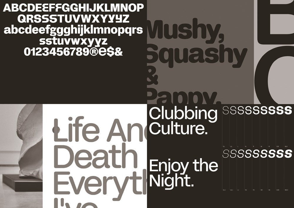 Sans in Use: Creative Typefaces and Their Applications