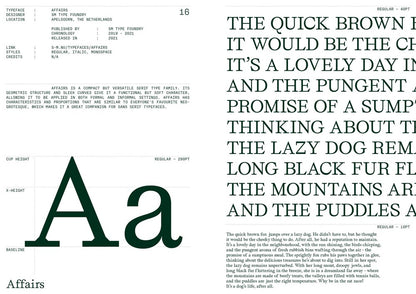 Serif in Use: Creative Typefaces and Their Applications