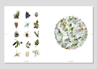 Still: The Art of Noticing