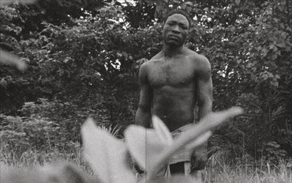 The African Gaze: Photography, Cinema and Power