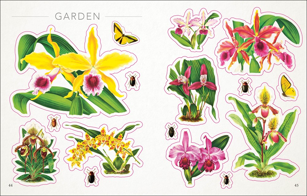 The Botanist's Sticker Anthology: With More Than 1,000 Vintage Stickers