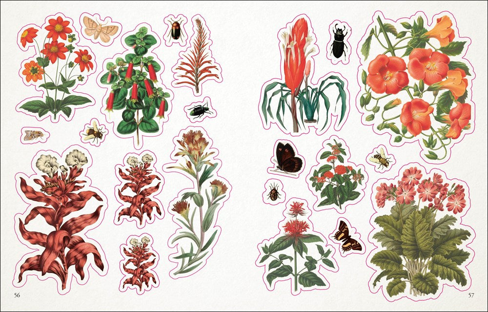 The Botanist's Sticker Anthology: With More Than 1,000 Vintage Stickers