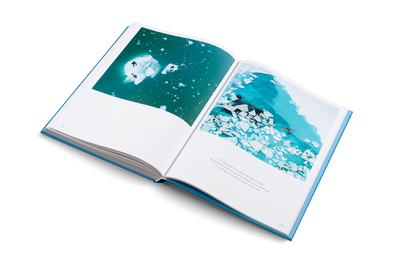 The Oceans