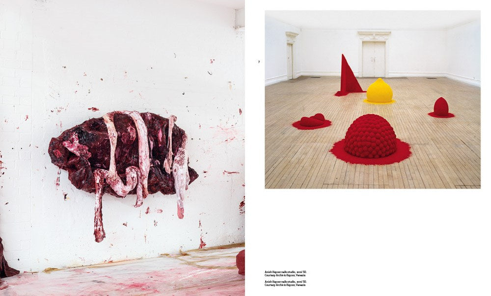 Anish Kapoor: Untrue Unreal