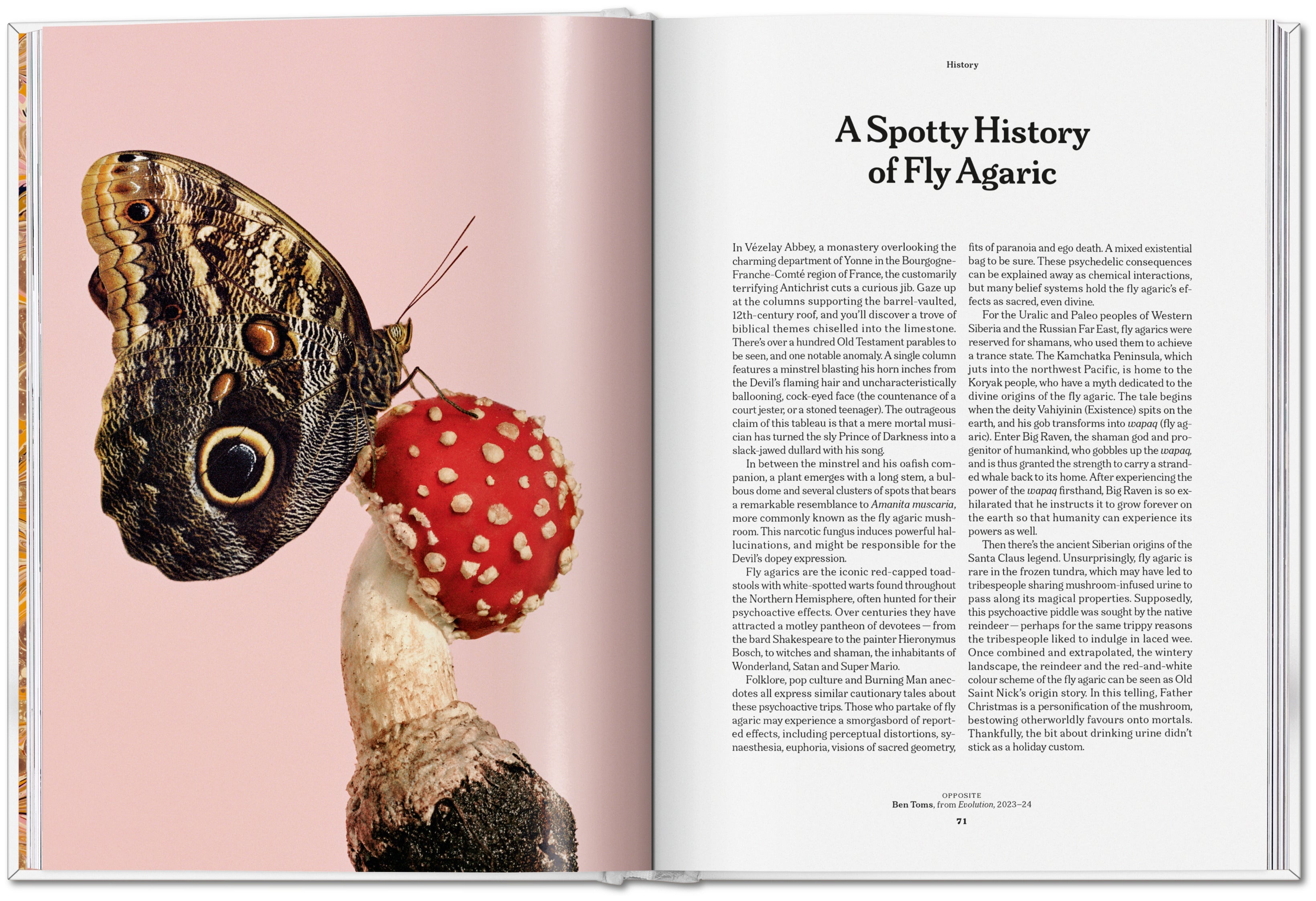 The Gourmand's Mushroom. A Collection of Stories and Recipes