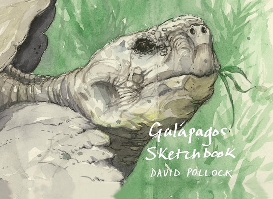 A Galápagos Sketchbook by Pollock, David