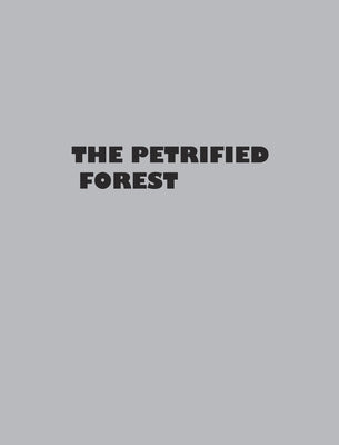 The Petrified Forest by Rubsamen, Glen