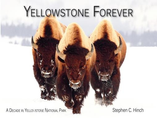 Yellowstone Forever: A Decade in Yellowstone National Park by Hinch, Stephen C.